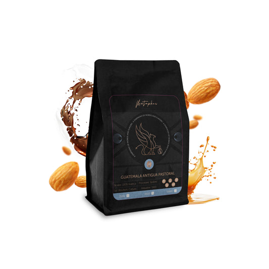 Guatemala Antigua Pastoral