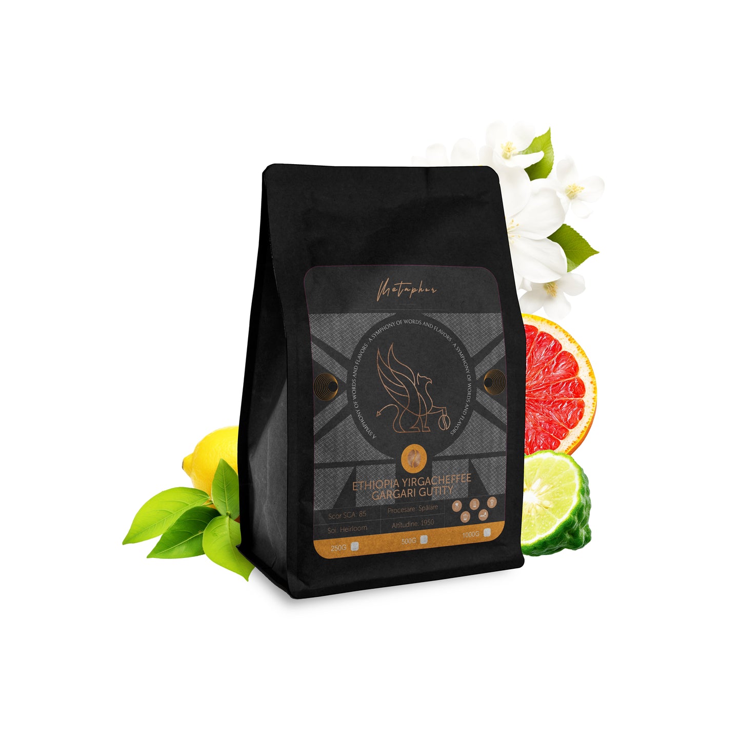 Etiopia Gargari Gutity