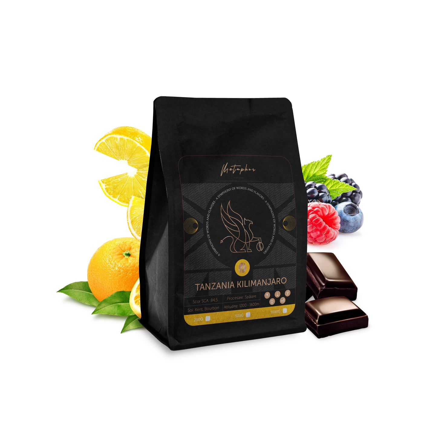 Tanzania Kilimanjaro AA