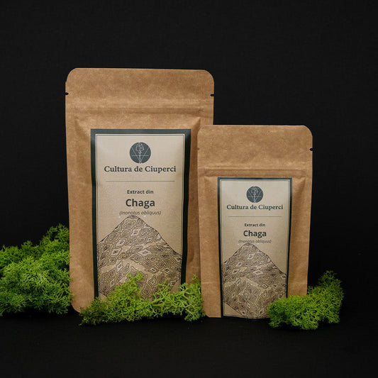 Chaga Extract Uscat