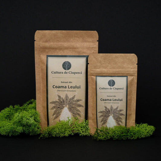 Coama Leului Extract Uscat