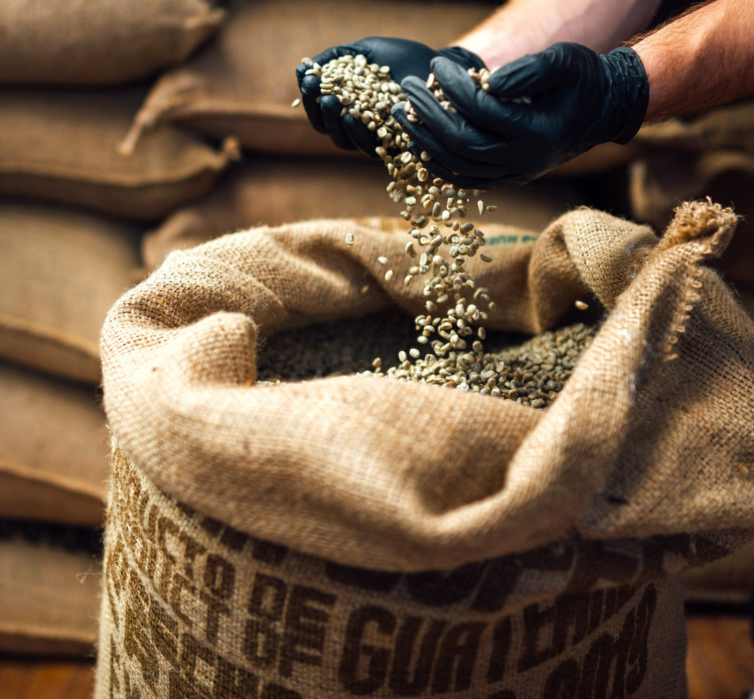 Autentic ca Originea – De ce nu trebuie să fii alt gust