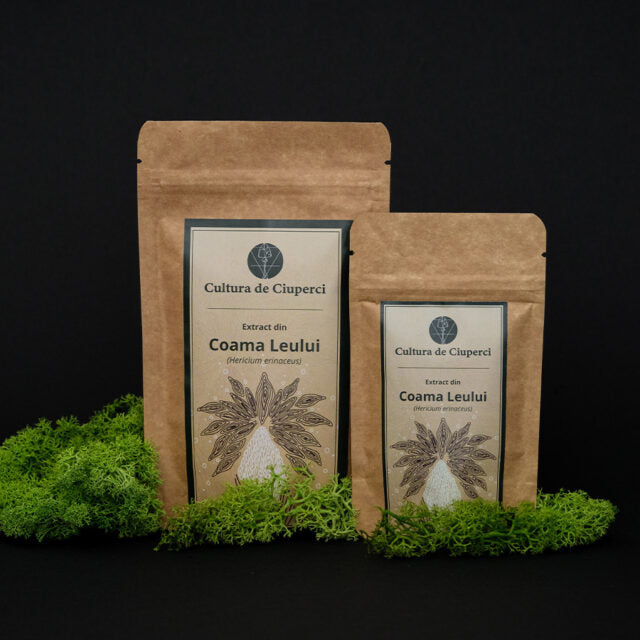 Coama Leului Extract Uscat